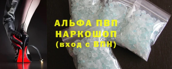 ГАЛЛЮЦИНОГЕННЫЕ ГРИБЫ Инта