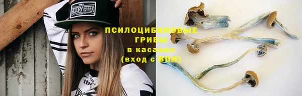 твердый Зеленодольск