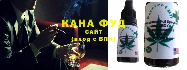ГАЛЛЮЦИНОГЕННЫЕ ГРИБЫ Инта
