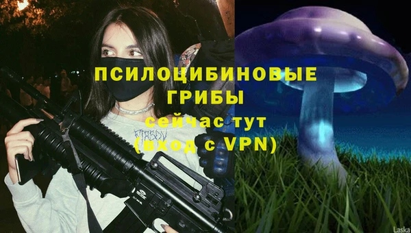 синтетический гашиш Зеленокумск