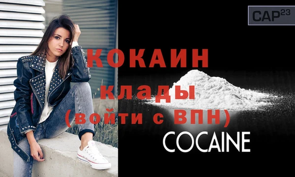 ГАЛЛЮЦИНОГЕННЫЕ ГРИБЫ Инта
