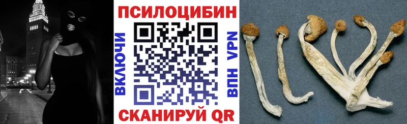 Купить закладки  Можайск  Псилоцибиновые грибы мухоморы 