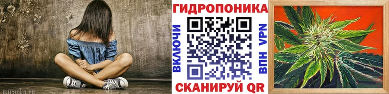 Купить закладки Можайск Бошки Шишки OG Kush